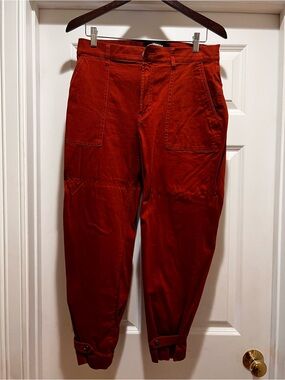 Express orange Pants